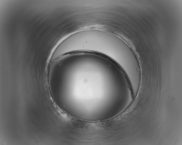 X0000056380816200508261158