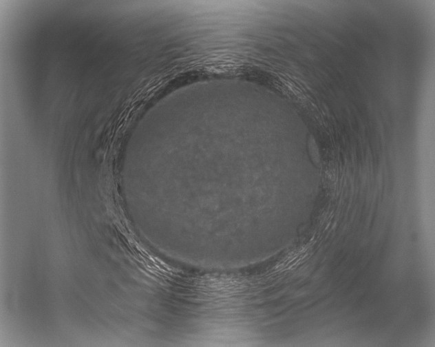 X0000056380817200508261157