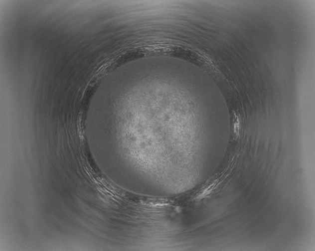 X0000056380819200508261158