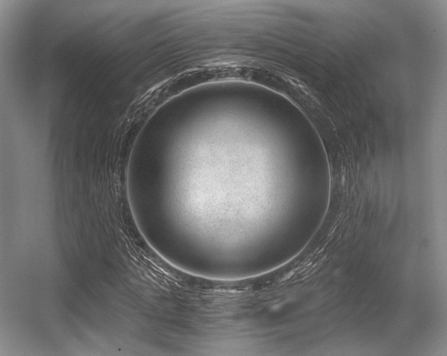 X0000056380821200508261158