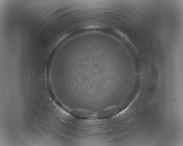 X0000056380825200508261158