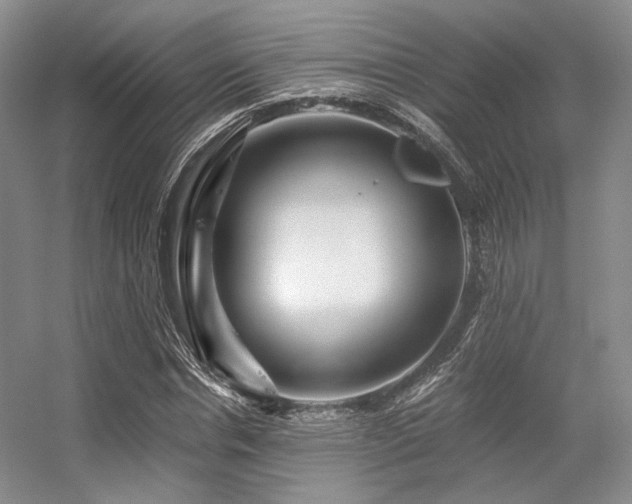 X0000056380826200508261158