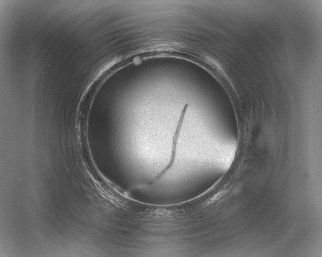X0000056380827200508261158