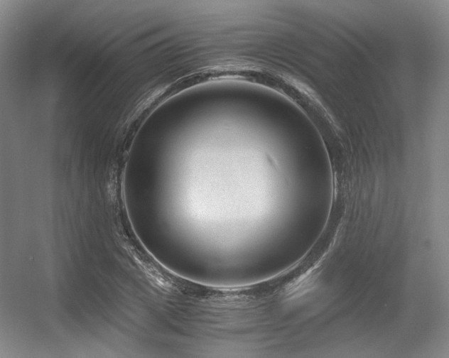 X0000056380833200508261158