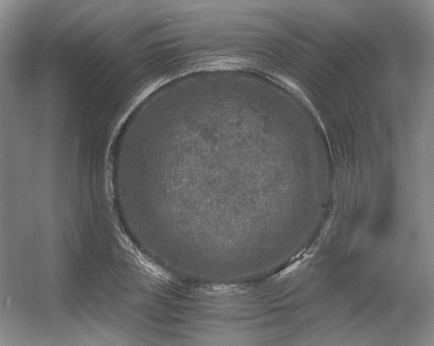 X0000056380835200508261158