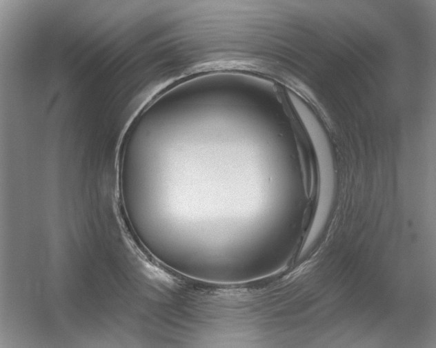 X0000056380844200508261158