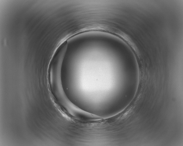 X0000056380858200508261158