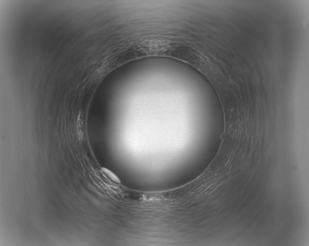X0000056380866200508261157