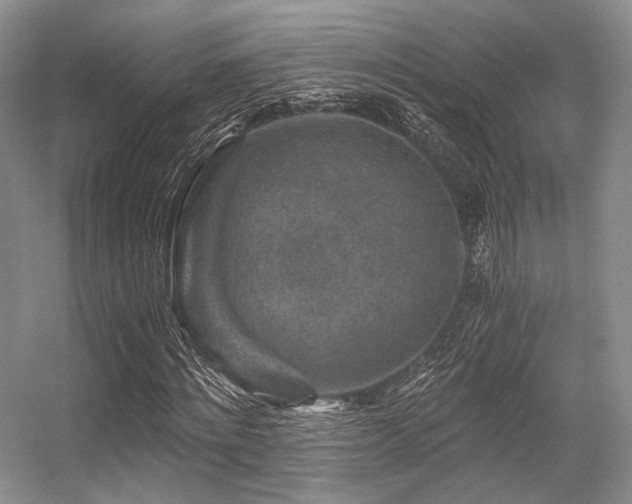 X0000056380868200508261157