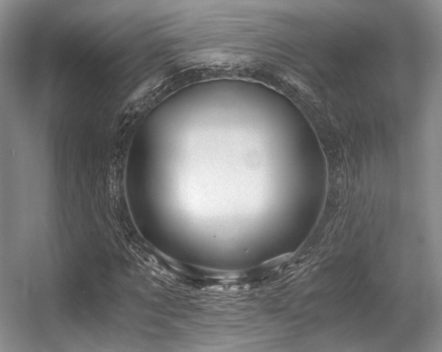 X0000056380869200508261157