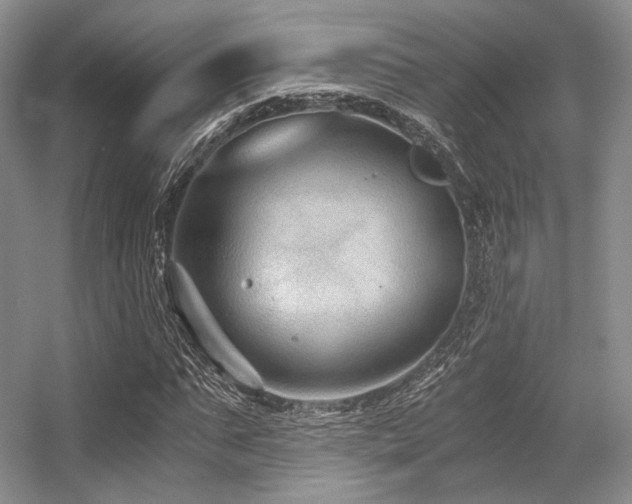 X0000056380871200508261157