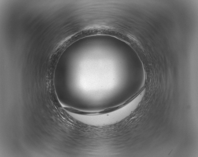X0000056380872200508261157