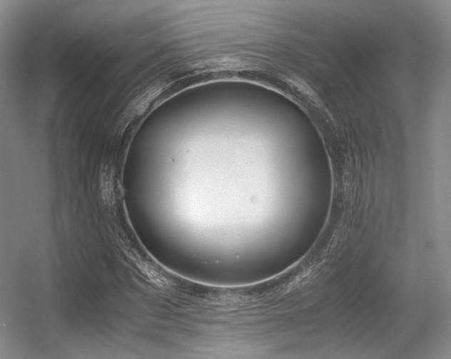 X0000056380873200508261157