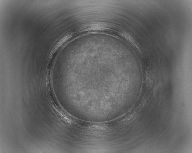 X0000056380874200508261157