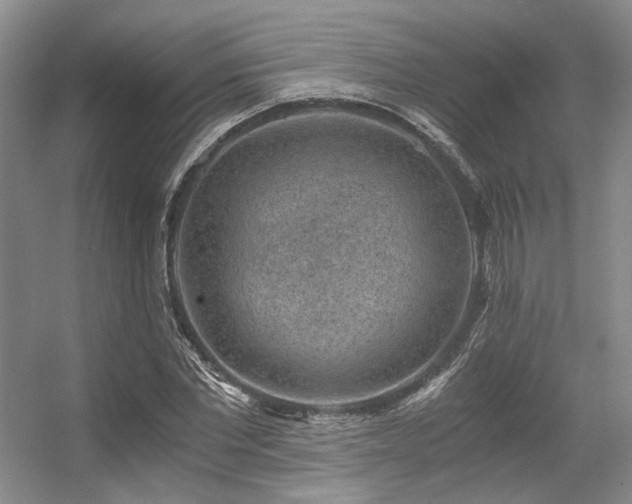X0000056380877200508261157
