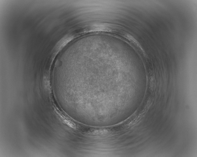 X0000056380882200508261157