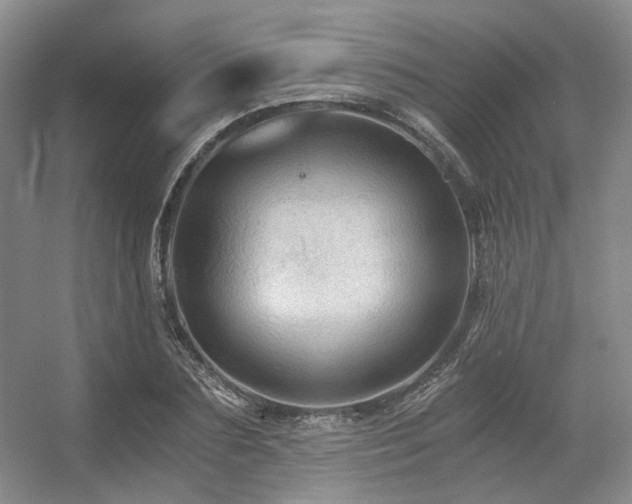 X0000056380883200508261157