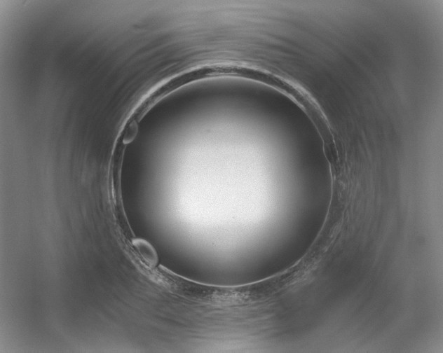 X0000056380887200508261157