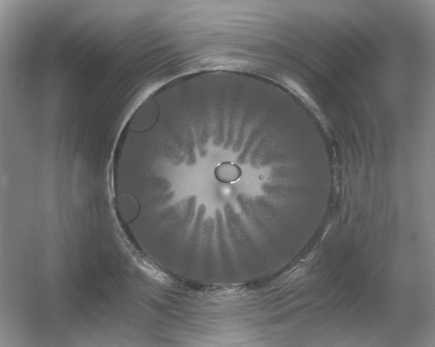 X0000056380891200508261157