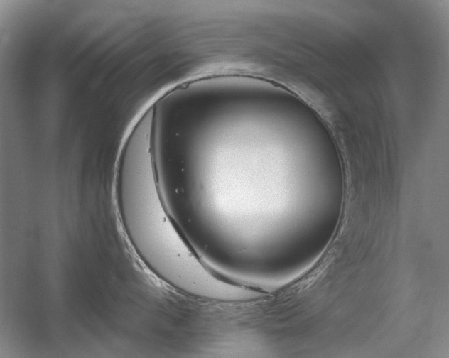 X0000056380912200508261157