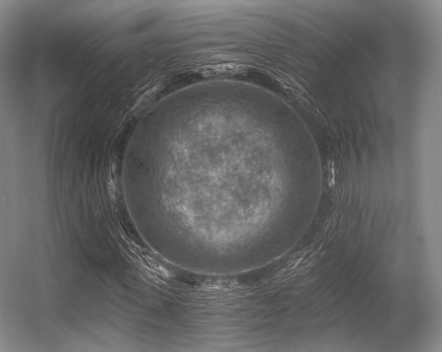 X0000056380915200508261156