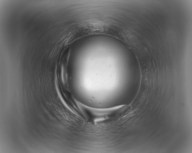 X0000056380916200508261156