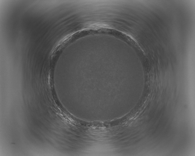 X0000056380919200508261156
