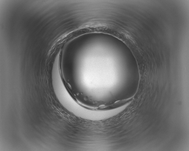 X0000056380920200508261156