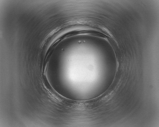 X0000056380922200508261156