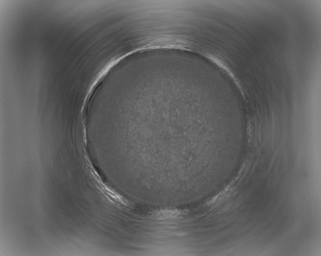 X0000056380925200508261156