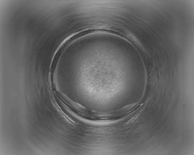 X0000056380932200508261156