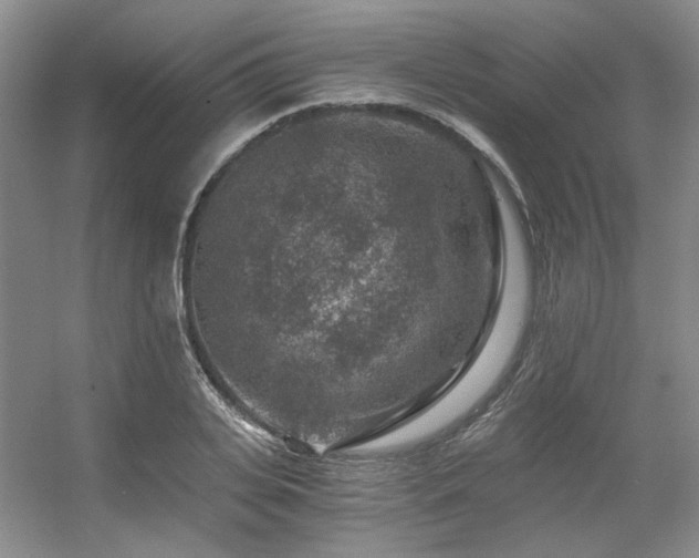 X0000056380935200508261156