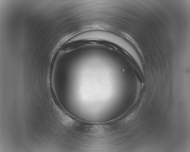 X0000056380938200508261156