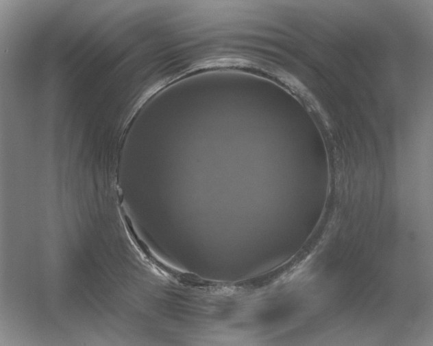 X0000056380945200508261156