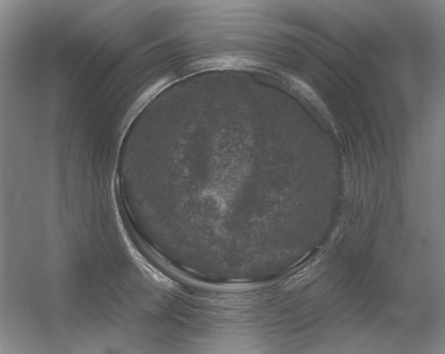 X0000056380946200508261156