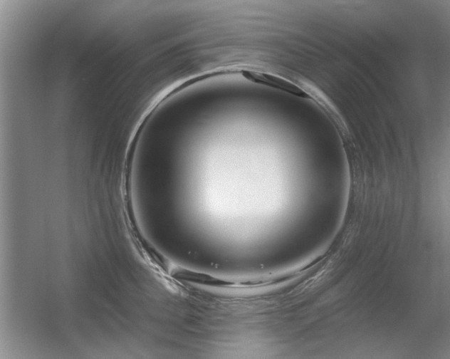 X0000056380956200508261157