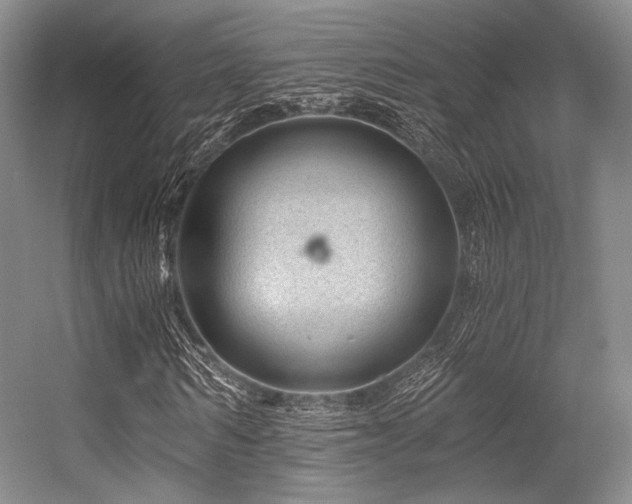 X0000056380962200508261156