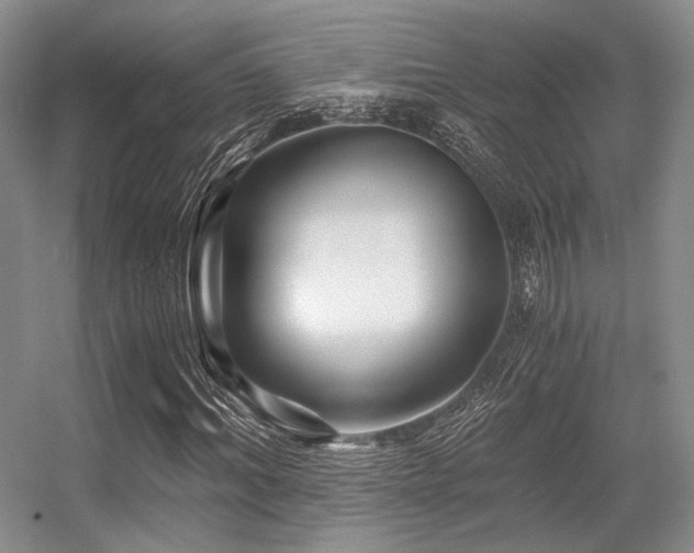 X0000056380964200508261156