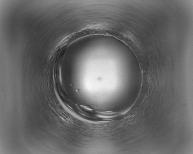 X0000056380968200508261156
