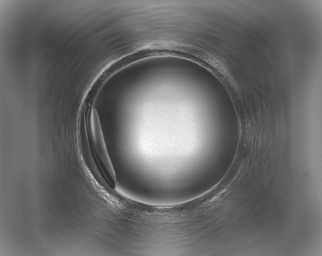 X0000056380976200508261156