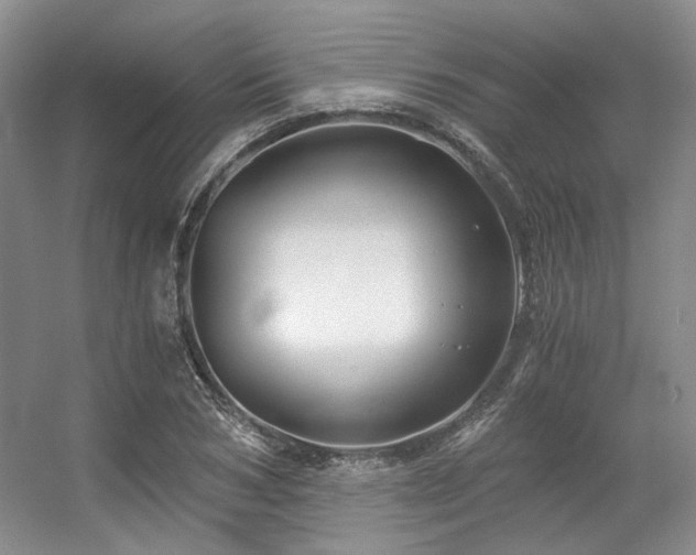 X0000056380978200508261156