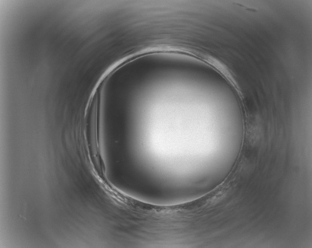 X0000056381004200508261155