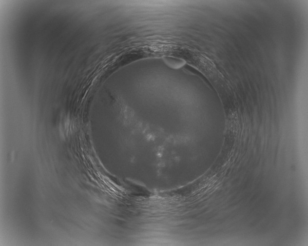 X0000056381009200508261154