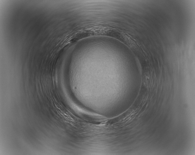 X0000056381010200508261154