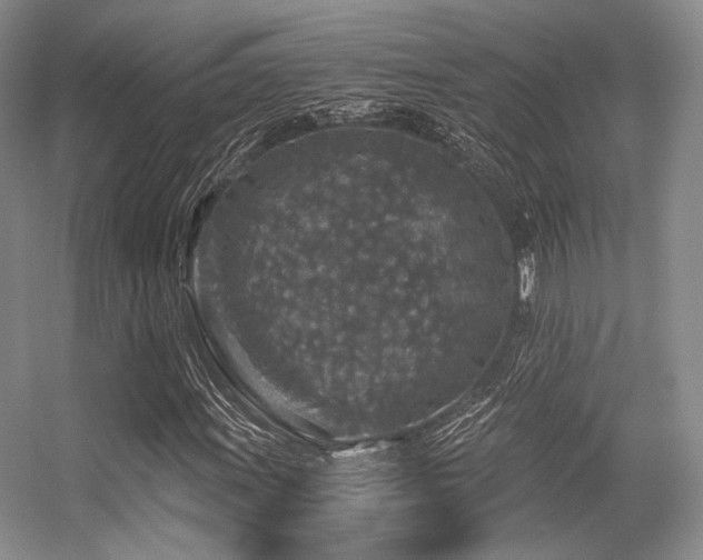 X0000056381011200508261154