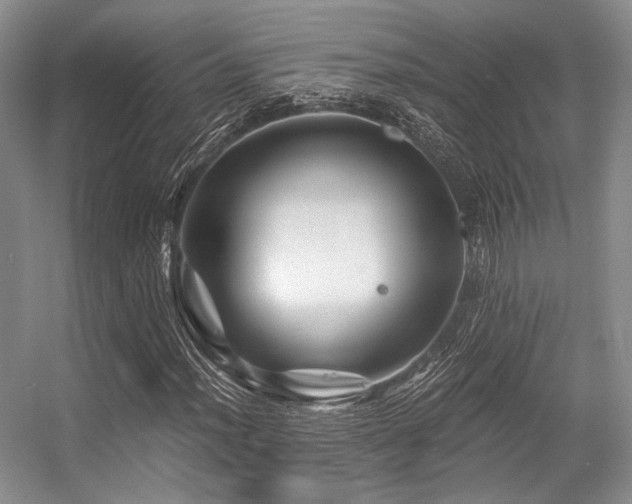 X0000056381012200508261154