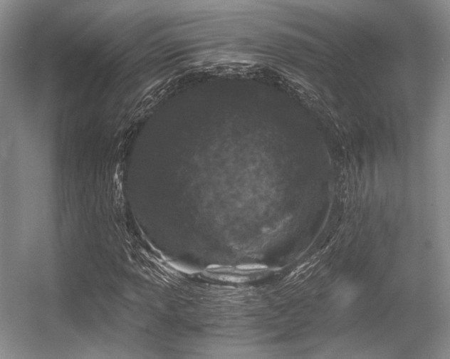 X0000056381013200508261154