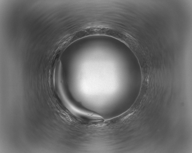 X0000056381014200508261154