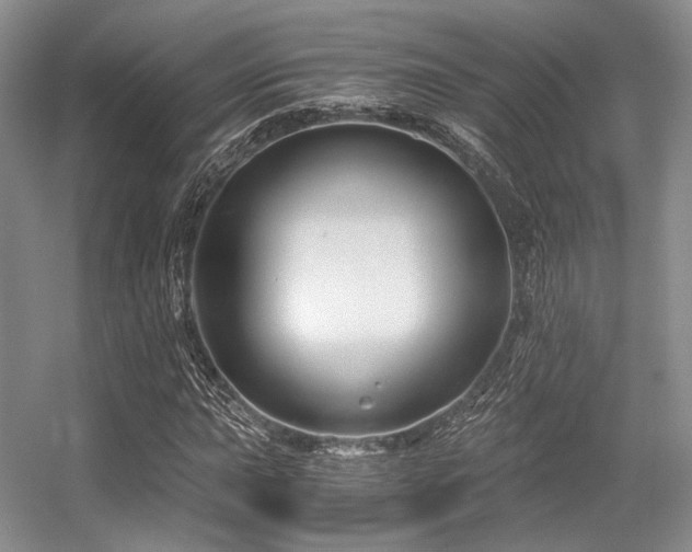 X0000056381015200508261154