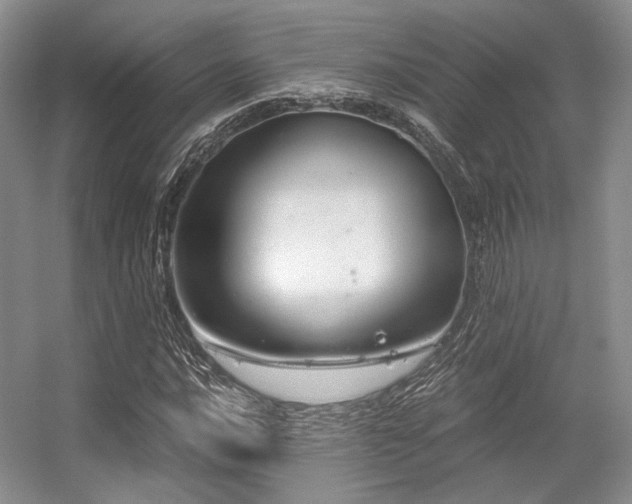 X0000056381016200508261154